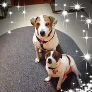 Meet your Posher, Cheryl